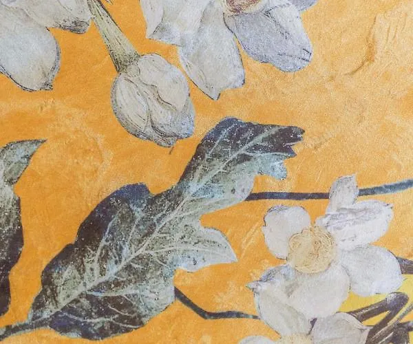 Apartman Location Centre In Historic Building With Free Garage Parking *