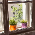 Location Centre In Historic Building With Free Garage Parking Apartma Ljubljana